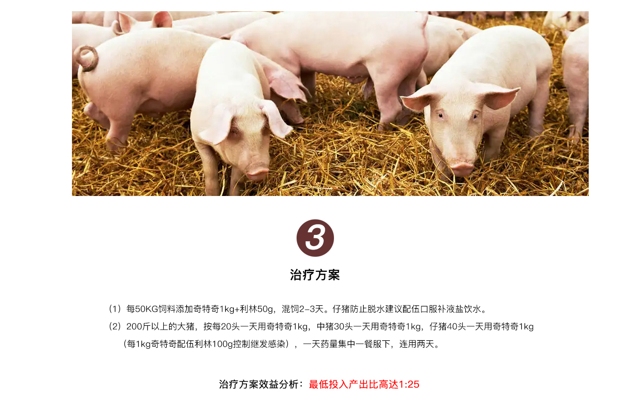 猪冬季病毒性腹泻_04.jpg